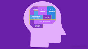 Image result for Higher Integrative Function