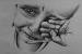 Angry Pain Emotional Sketches