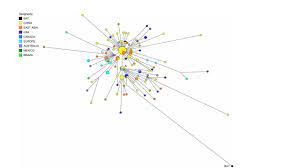 | we are still to ascertain, which strain is in circulation right now, as samples have been sent to ccmb for analysis. Scientists Map Covid 19 S Journey Across The World Youtube