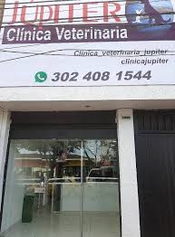 Clinica Veterinaria Jupiter