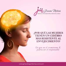 Un reciente descubrimiento sobre el segundo cromosoma X podría tener una  gran influencia en cómo envejece el cerebro de las mujeres. Este gen, que  permanece "silenciado" durante la mayor parte de la
