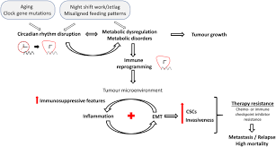 Role Of Circadian Rhythm Disorders On Emt And Tumour Immune Interactions In Endocrine Related Cancers In Endocrine Related Cancer Volume 28 Issue 2 2021