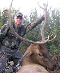 Check spelling or type a new query. The Elk That Fell Out Of The Sky Mossy Oak