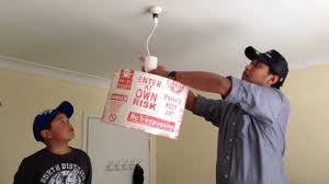 We did not find results for: Diy Suspension Kits And How To Install A Ceiling Lamp Shade Youtube