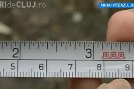 324 alin.(3), sumele cuvenite martorilor pentru deplasare si pierderile cauzate de necesitatea. O ClujeancÄƒ Este ObligatÄƒ De JustiÈ›ie SÄƒ IÈ™i Mute Gardul Cu 2 6 Milimetri È™i La Plata A 7 400 De Lei Stiri De Cluj
