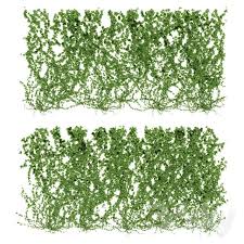 Wall Of Ivy Leaves V4 Green Facade Ivy Plants Ivy Plant Indoor