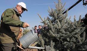 Bu vesile ile ağaç dikim zamanı; 11 Milyon Fidan Kampanyasina Ormancilardan Tepki 8 9 Milyonu Ziyan Olacak