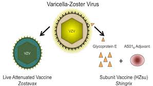 We did not find results for: Https Cdn Ymaws Com Www Upha Com Resource Resmgr Ac18 Immun Update Handout Pdf