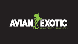 Joseph is board certified in avian medicine, however. Avian Exotic Animal Clinic