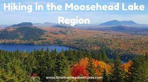 If You Ve Seen My Post About Camping On Moosehead Lake You Ll Know That My Family And I Acadia National Park Camping Camping In Illinois Grand Canyon Camping