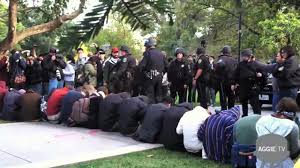Uc Davis Protestors Pepper Sprayed Youtube