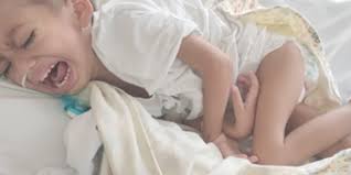 FRANCIELE PAMELA PETRY