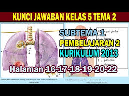 Ilustrasi/kunci jawaban tema 2 kelas 5 halaman 16 17 18 19 20 buku tematik sd sistem pernapasan pada manusia. Kunci Jawaban Tema 2 Kelas 5 Halaman 16 22 Sistem Pernapasan Pada Manusia Youtube