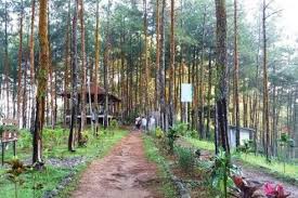 Doaku di empat pagi ini, semoga semua terbayarkan. Harga Tiket Masuk Dan Lokasi Bukit Pentulu Indah Kebumen Spot Terbaru Untuk Pecinta Sunrise Daka Tour