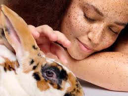 Noticias del día 22 de noviembre de 2024