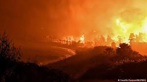 We did not find results for: Yunanistan Da Orman Yangini Endise Yaratti Avrupa Dw 21 05 2021