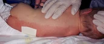 Image result for Harlequin Color Change