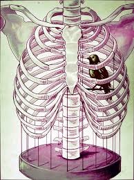 See more ideas about rib cage, anatomy reference, anatomy. Innocent Yet Sinister Cage Tattoos Art Anatomy Art