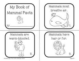 Mammal Characteristics Free Mammals Activities Mammals Animal Classification