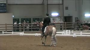 Fei Dressage Haflinger Grand Prix Freestyle Starwars Tof 2012 Dressage Dressage Videos Fei Dressage