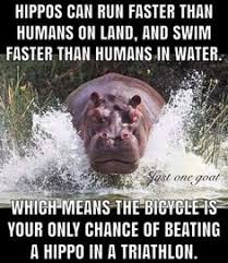 Triathlon jokes that are not only about eins but actually working lifeguard puns like hippos can run the best jokes about triathlon. 34 Best Triathlon Humor Ideas In 2021 Triathlon Humor Triathlon Triathlon Motivation