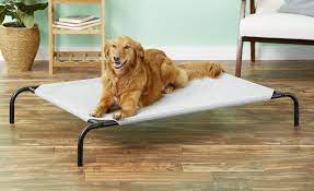 But the best elevated dog beds can be pretty great beds for the right dog. Best Raised Dog Bed 5 Orthopedic Elevated Dog Beds 2020 Herepup