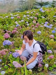 Million flowers at...