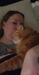 When your cat does not know what personal space is 😂😂