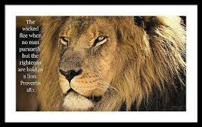 Bold As A Lion Framed Print30 000 X 16 875 Black White Lion Images Animals Lion