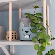 Help How To Diy A King Size Loft Bed Ikea Hackers Murphy Bed Plans Murphy Bed Ikea Murphy Bed