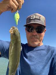 How much abuse can Pickwick Lake take before it's damaged?