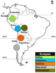 Browse the user profile and get inspired. Quinoa Abiotic Stress Responses A Review Abstract Europe Pmc