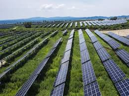 Berkley east solar, located in the town of berkley, massachusetts, is a 3.88 megawatt (dc) photovoltaic solar project. Amplus Solar Buys Rooftop Solar Assets Of Sterling Wilson Totaling 7 2 Mw Business Standard News