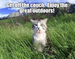 Enjoy The Great Outdoors Lolcats Lol Cat Memes Funny Cats Funny Cat Pictures With Words On Them Funny Pictures Lol Cat Memes Lol Cats