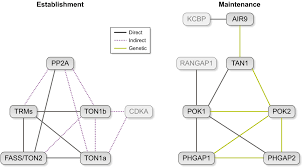 We did not find results for: An Overview Of Plant Division Plane Orientation Rasmussen 2018 New Phytologist Wiley Online Library