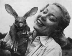 The Story of Independent TV