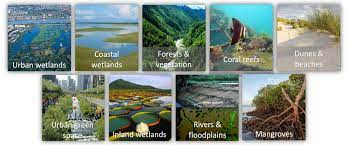 Nature Based Solutions A Cost Effective Approach For Disaster Risk And Water Resource Management