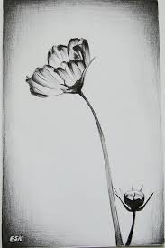 50 Easy Flower Pencil Drawings For Inspiration Pencil Drawings Of Flowers Pencil Drawings Flower Sketch Pencil