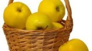 Marul Adevarat Depozit De Substante Nutritive Mobile
