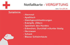 Die notfallkarte für haustiere kümmert sich um die pflege ihres tieres, wenn sie es physisch gerade nicht können. Ich Hab Sie Kostenlose Notfallkarten Von Furryfit Zum Downloaden X2f Ausdrucken Wiederbelebung Stabile Seitenlage Hitzschlag Schni Hunde Notfall Karten