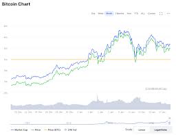 First input, last input, number of inputs, first output, last output, number of outputs, balance Will The Price Of Bitcoin Crash Uncertainty Looms As Btc Stalls Under 40k Finance Magnates