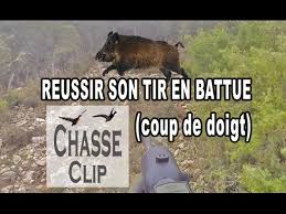 Nouvelle video de chasse au sanglier dans laquelle vous verrez deux tirs de sangliers : Reussir Son Tir En Battue Coup De Doigt Youtube