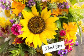 You can also take print out of the 'flowers' thank you pictures. 5 474 Thank You Flowers Photos Free Royalty Free Stock Photos From Dreamstime