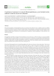 Image result for Vittaria reekmansii