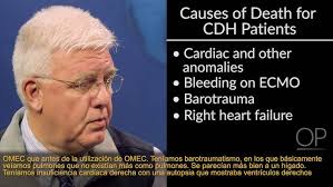 Congenital Diaphragmatic Hernia by Dr. Holly Hedrick