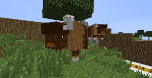 In part 1 of this series, i get the basics together, craft an animal transportation vehicle and (sort of) find a place for our zoo! Zoo Craft 2 Hd 1 0 Apk Download Android Adventure Games