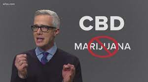• to fail a drug test, the substance abuse and mental health services administration guideline has a detection limit for the presence of thc, distinguished as a specific. Verify Will Cbd Oil Make You Fail A Drug Test Wfaa Com