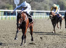 Matterhorn Out To Prove Turf Prowess In Brigadier Gerard