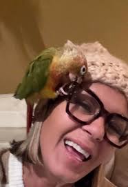 Rescuing and Caring for a Green Cheek Conure