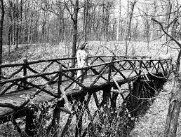 2015-2016 Official Manual